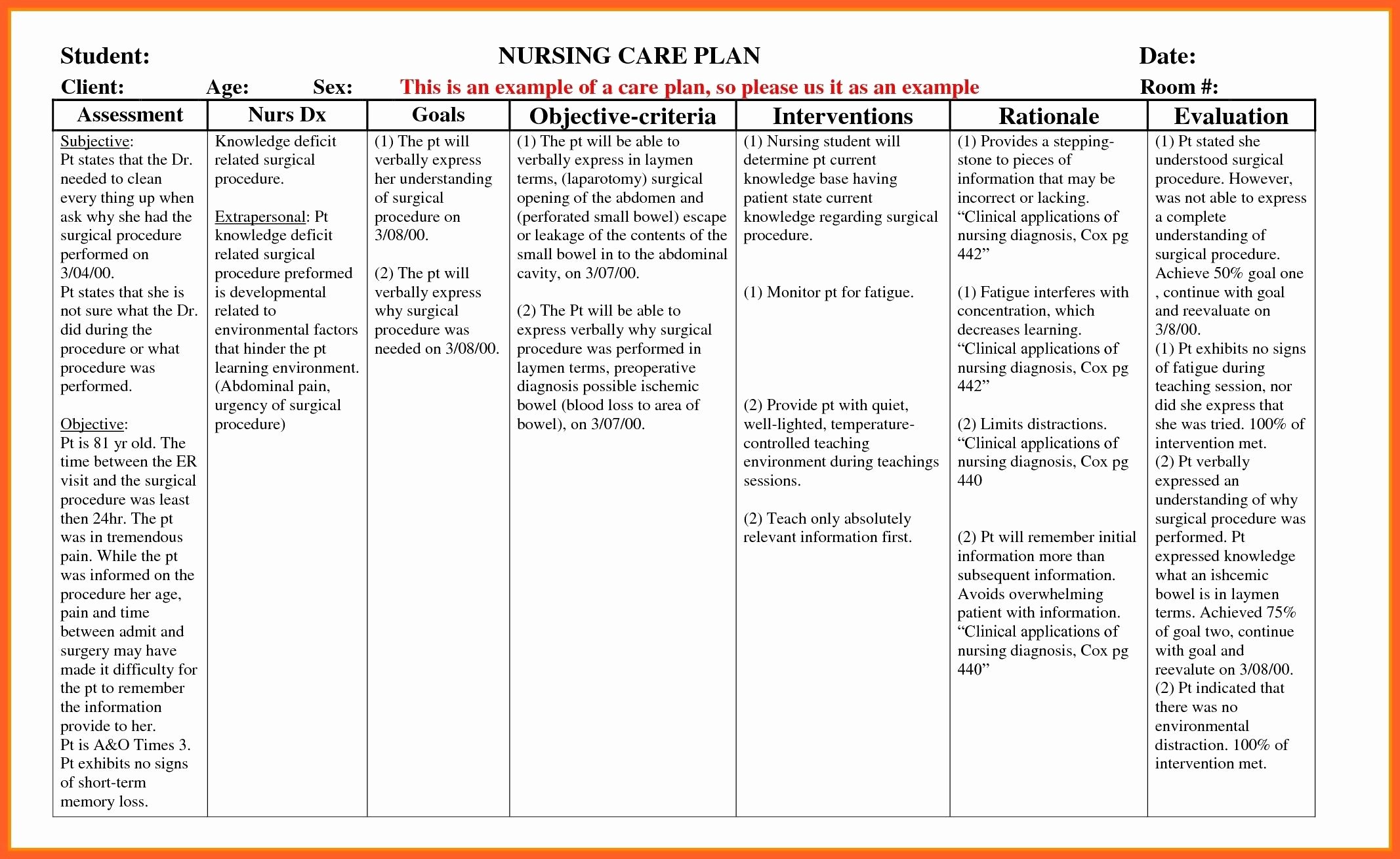 Nursing Education Plan Template Elegant Example Care Plan Template for Elderly Nursing Home