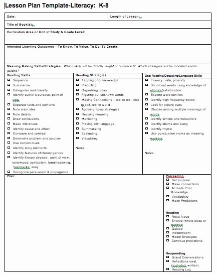Nys Lesson Plan Template Inspirational Literacy Lesson Plan Template