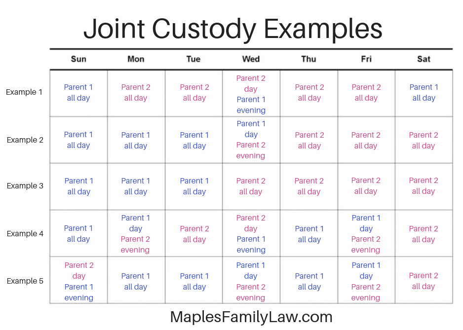 Parenting Plan Calendar Template Fresh How to Create Joint Custody Schedules with Examples