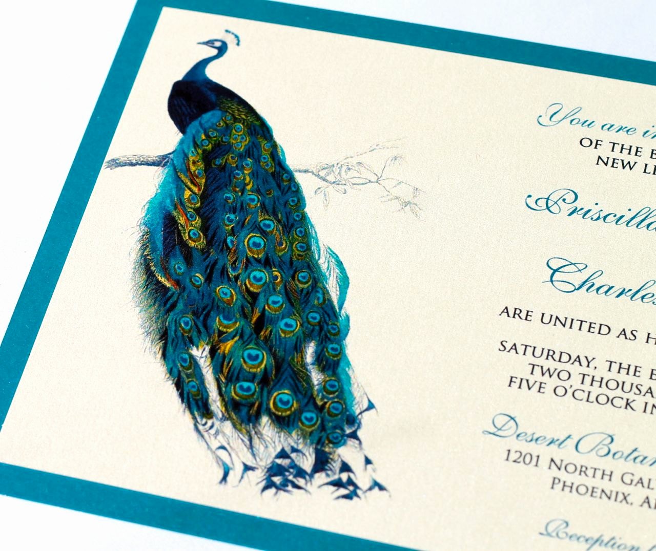 Peacock Invitations Template Free New Priscilla Peacock Wedding Invitation Sample Ivory Ecru