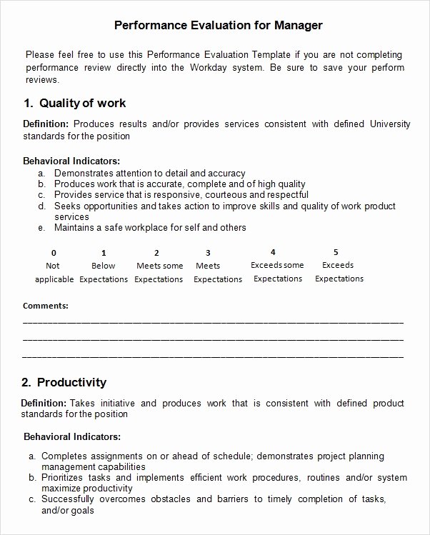 Performance Evaluation Template Word Elegant Performance Evaluation 9 Download Free Documents In Pdf