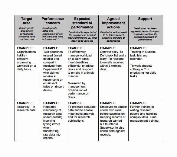 Performance Improvement Action Plan Template Best Of Sample Improvement Plan Template 13 Free Documents