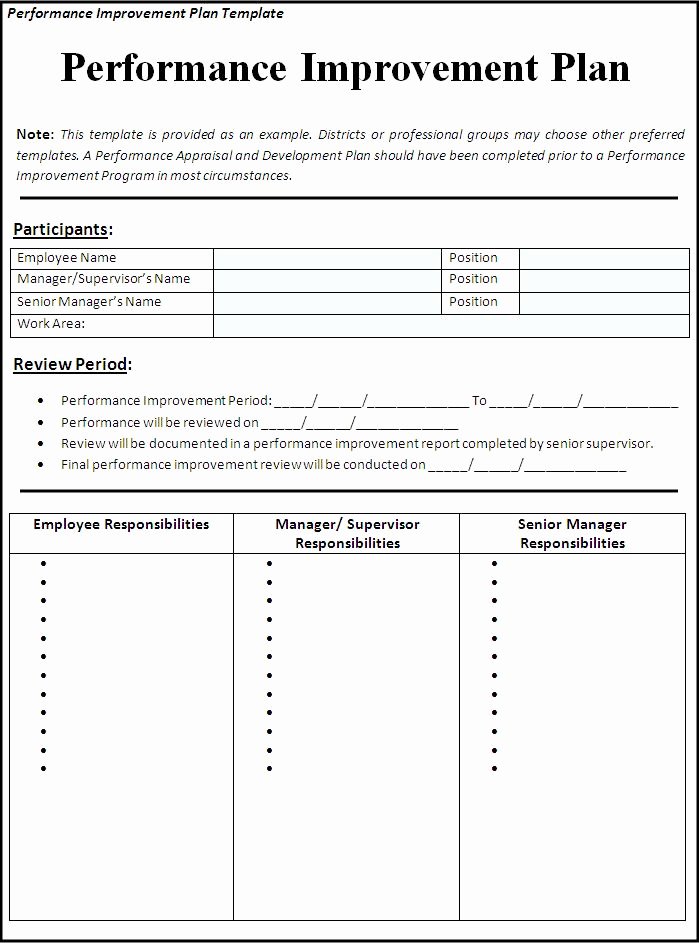 Performance Improvement Action Plan Template New Performance Improvement Plan Template