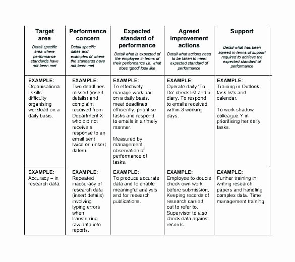 Performance Improvement Plan Template Excel Lovely Performance Improvement Plan Template