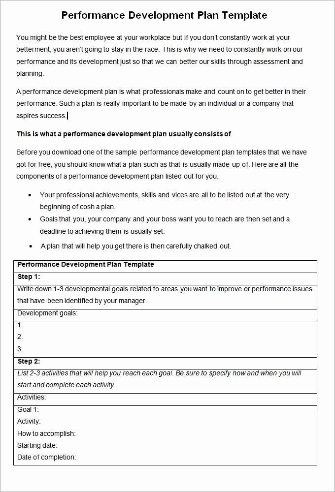 Performance Improvement Plan Template Word Awesome Performance Development Plan Template 10 Development