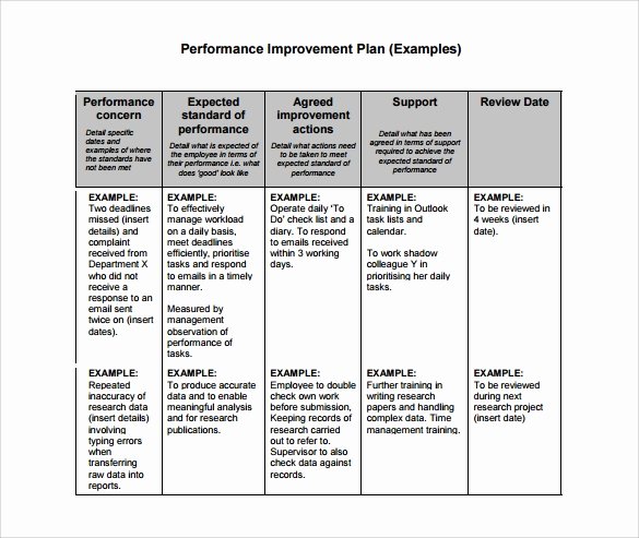 Performance Improvement Plan Template Word Best Of Free 11 Sample Performance Improvement Plan Templates In