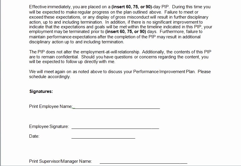 Performance Improvement Plan Template Word Best Of Performance Improvement Plan Sample Template Excel Tmp