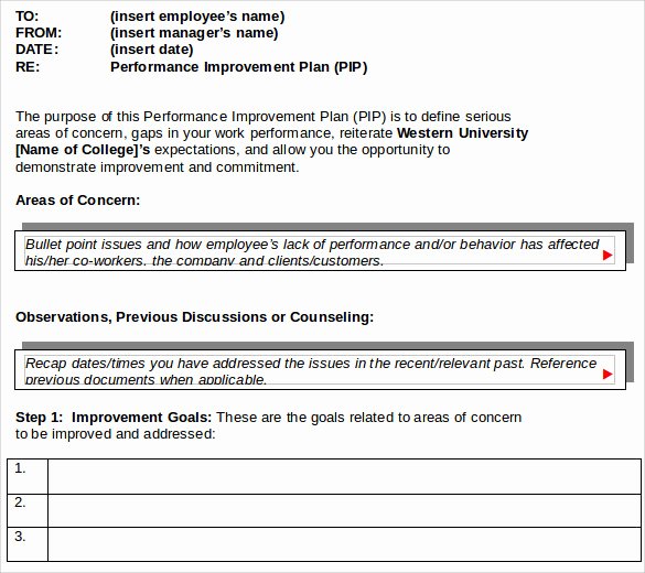 Performance Improvement Plan Template Word Elegant Sample Improvement Plan Template 13 Free Documents