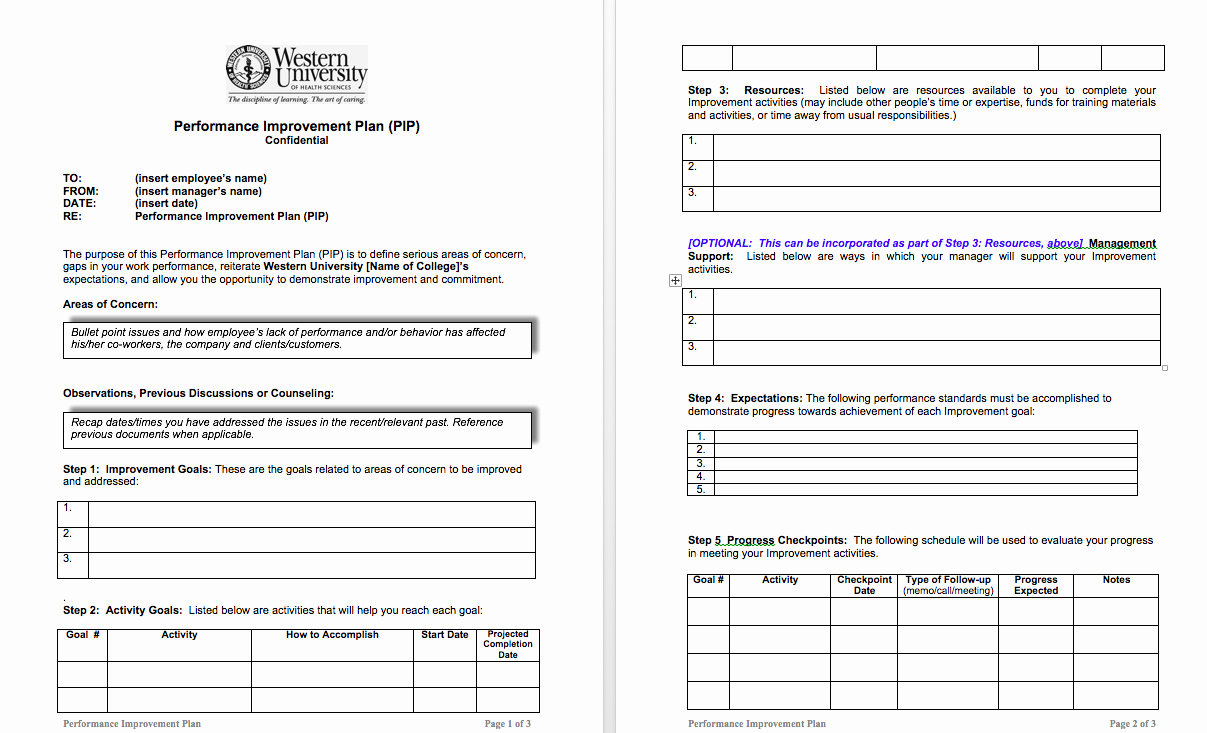 Performance Improvement Plan Template Word Fresh Examples Performance Improvement Plans for Employees