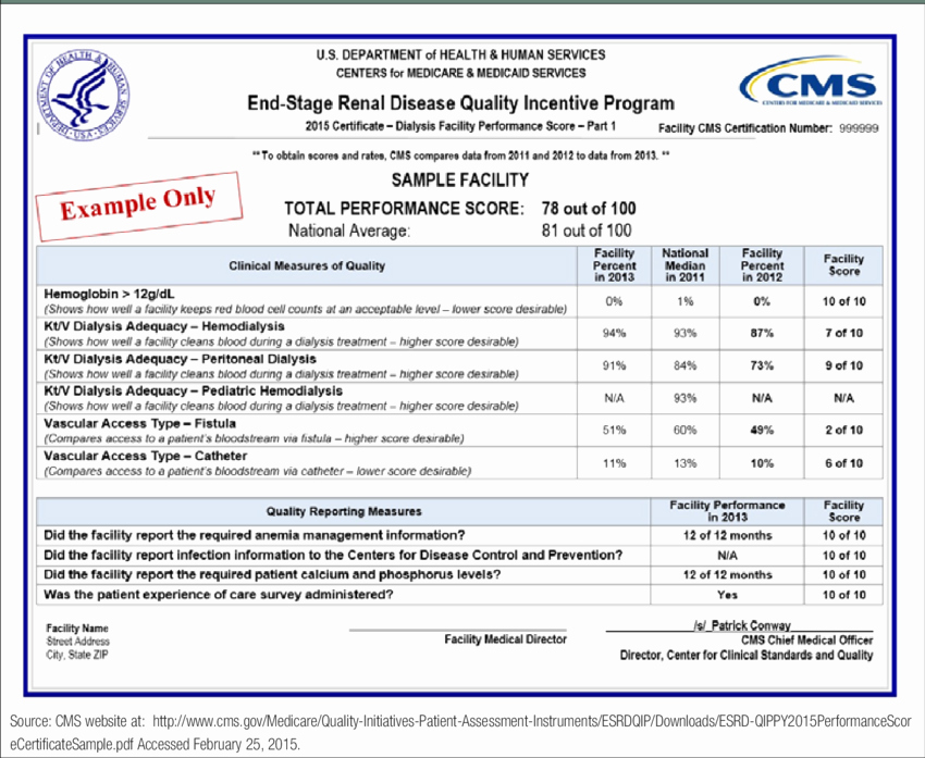 Performance Incentive Plan Template Unique Quality Incentive Program Sample 2015 Performance Score