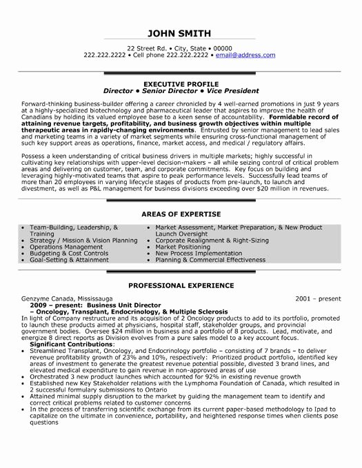 Performing Arts Resume Template Beautiful A Professional Resume Template for A Business Unit