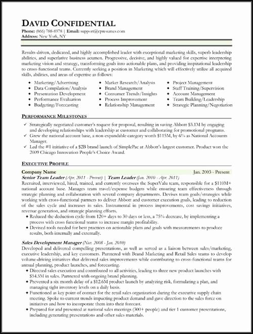 Performing Arts Resume Template Best Of Hybrid Resume format Work