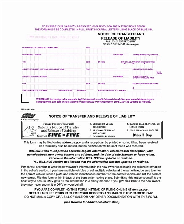 Personal Trainer Waiver form Template Awesome Personal Trainer Liability Waiver