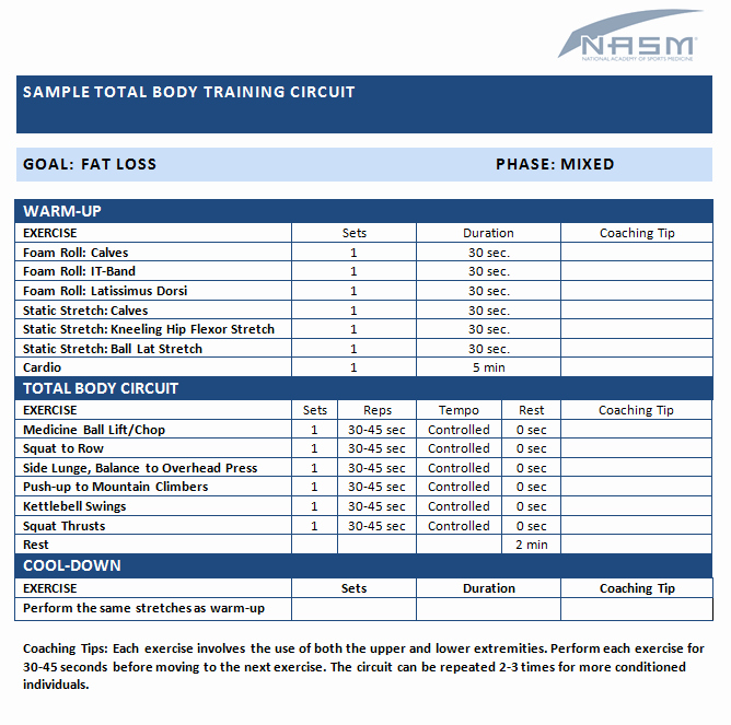 Personal Trainer Workout Plan Template Fresh N