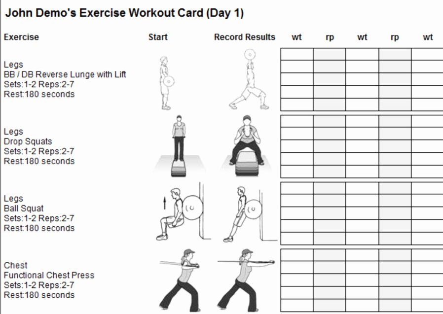 Personal Trainer Workout Plan Template Unique Personal Trainer software Programs