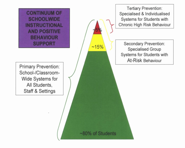 Positive Behavior Support Plan Template Beautiful Positive Behaviour Support Plans