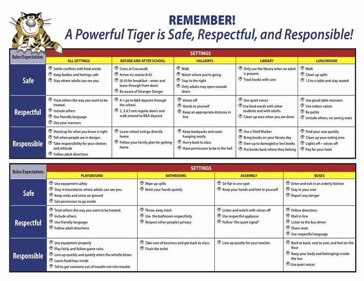 Positive Behavior Support Plan Template Best Of Pbis Matrix