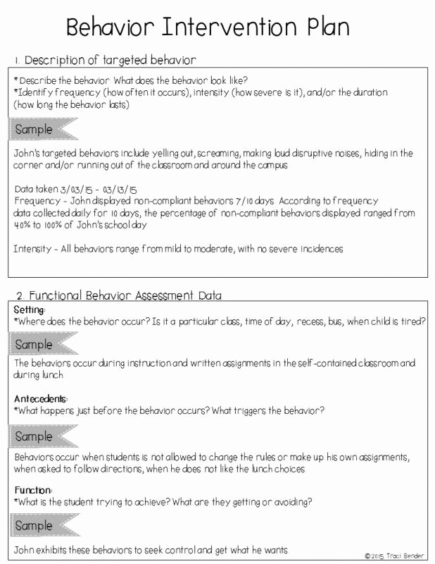 Positive Behavior Support Plan Template Elegant Behavior Intervention Plan Example