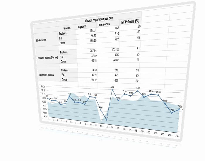 Precision Nutrition Meal Plan Template Elegant Calories Tracker Spreadsheet Fit for Life