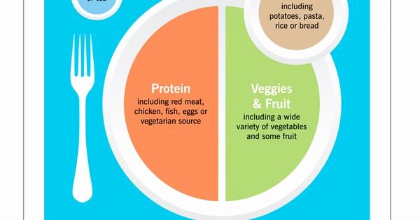 Precision Nutrition Meal Plan Template Elegant Precision Nutrition S &quot;my Plate&quot;