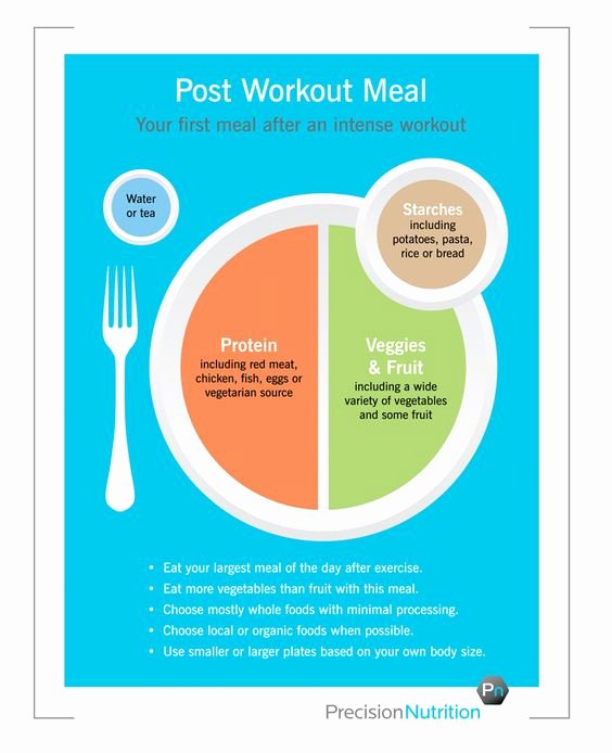 Precision Nutrition Meal Plan Template New Precision Nutrition S &quot;my Plate&quot;