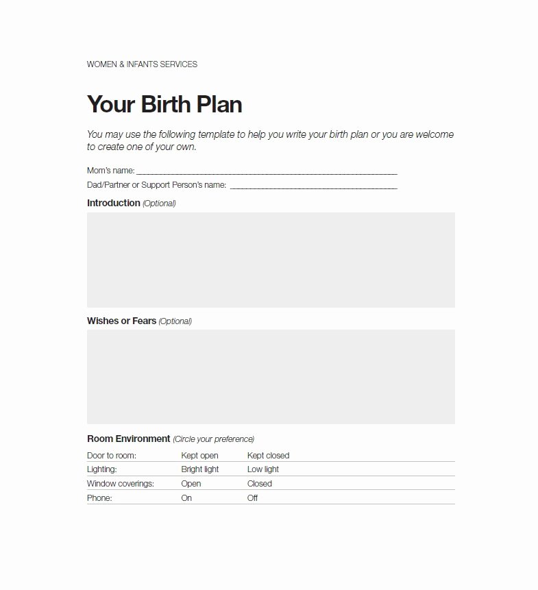 Printable Birthing Plan Template Awesome 47 Printable Birth Plan Templates [birth Plan Checklist