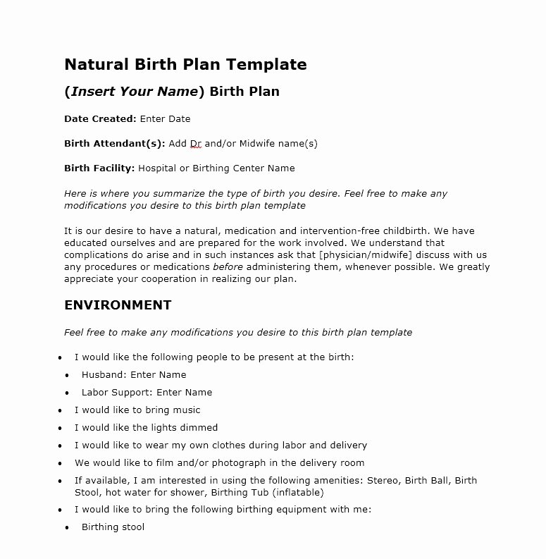 Printable Birthing Plan Template Awesome 47 Printable Birth Plan Templates [birth Plan Checklist