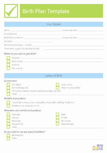 Printable Birthing Plan Template Beautiful Birth Plan Template Printable