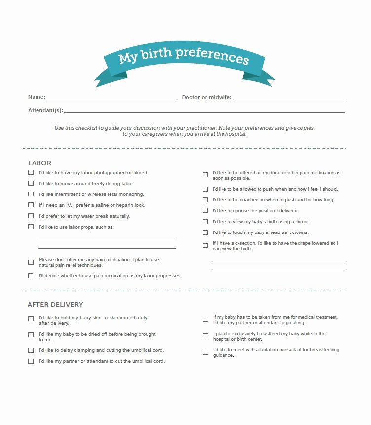 Printable Birthing Plan Template Elegant 47 Printable Birth Plan Templates [birth Plan Checklist