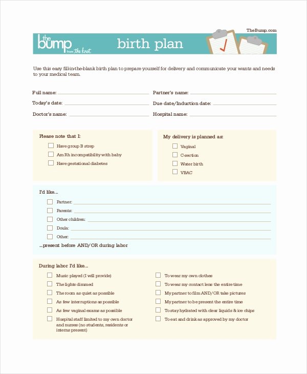 Printable Birthing Plan Template Inspirational Birth Plan Template 11 Free Word Pdf Documents
