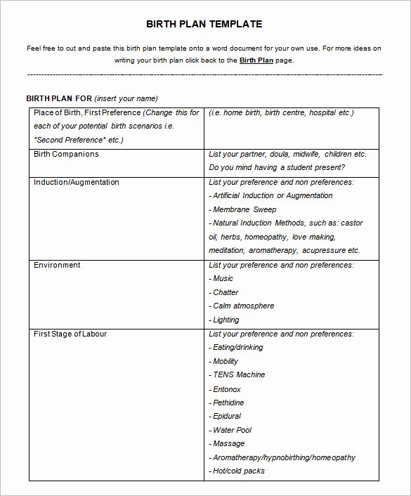 Printable Birthing Plan Template Lovely 25 Plan Template Word Excel Pdf