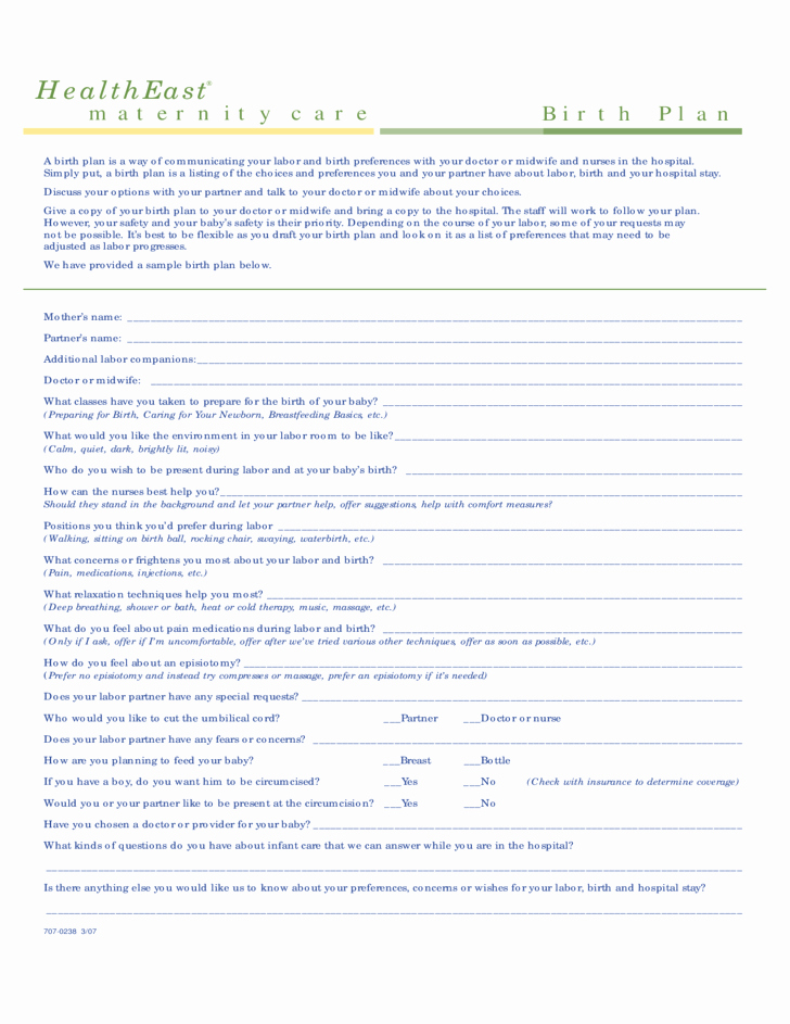 free one page birth plan template