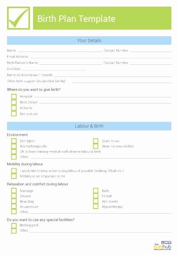 Printable Birthing Plan Template Lovely How to Write A Birth Plan