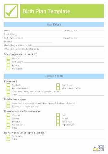 Printable Birthing Plan Template Lovely How to Write A Birth Plan