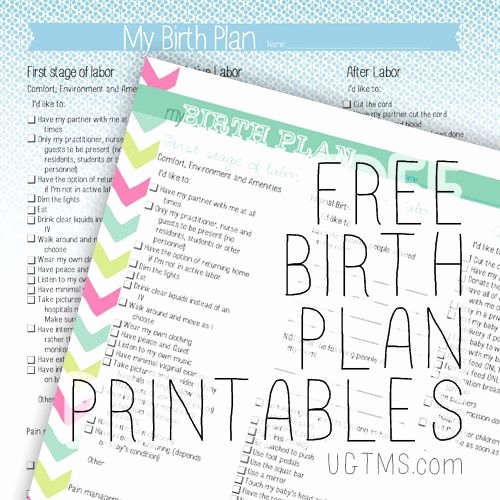 Printable Birthing Plan Template Luxury Free Birth Plan Printables Expecting Pinterest