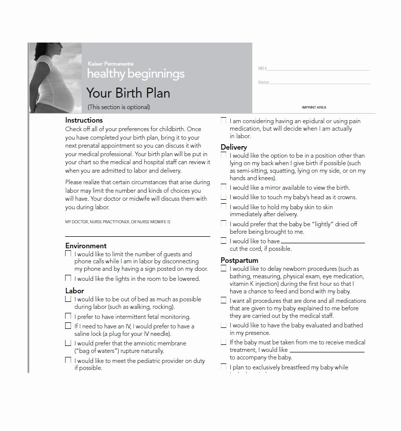 Printable Birthing Plan Template New 47 Printable Birth Plan Templates [birth Plan Checklist