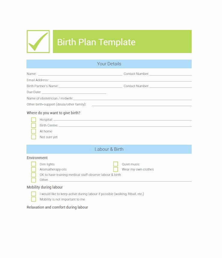 Printable Birthing Plan Template New 47 Printable Birth Plan Templates [birth Plan Checklist