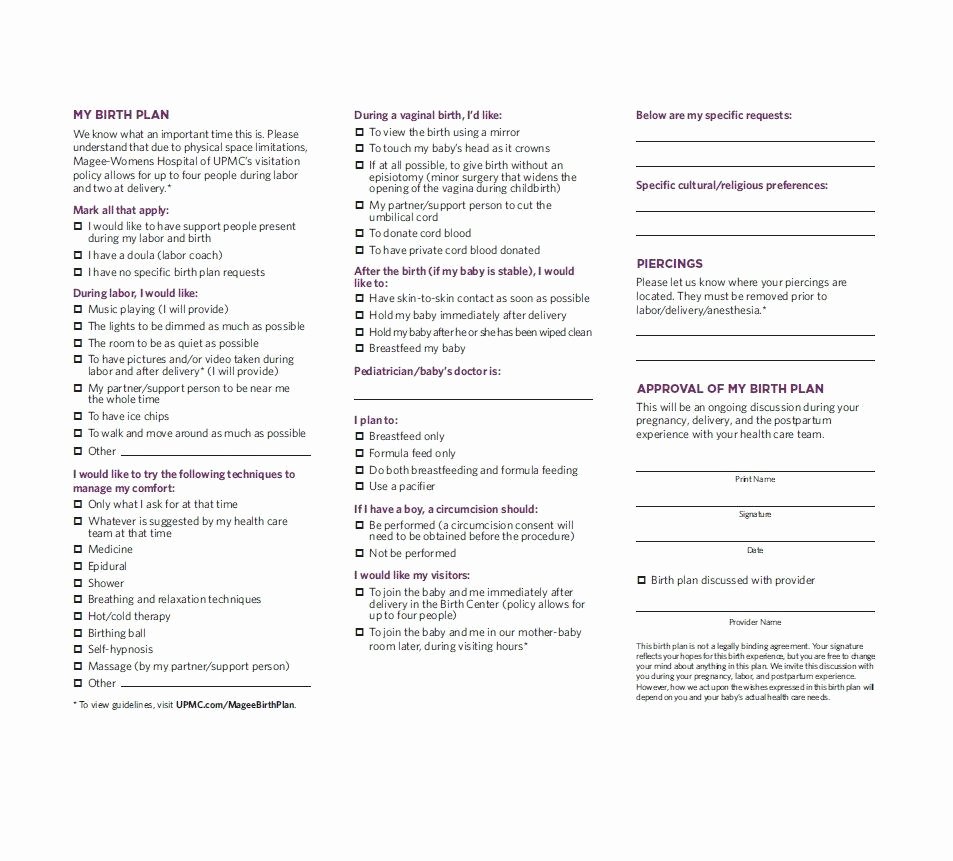 Printable Birthing Plan Template New 47 Printable Birth Plan Templates [birth Plan Checklist