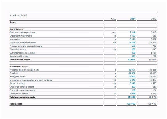 Pro forma Balance Sheet Template Beautiful Pro forma In E Statement –11 Free Samples Examples