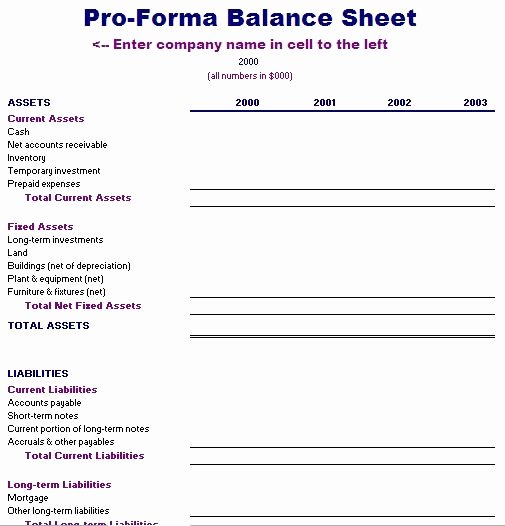 Pro forma Balance Sheet Template Inspirational Pro forma Financial Statements Template Free