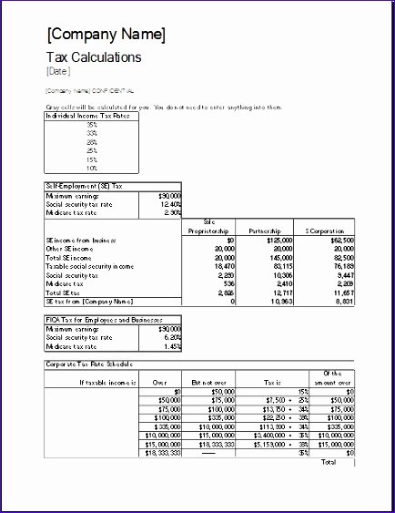 Pro forma Balance Sheet Template Luxury 8 Proforma Balance Sheet Exceltemplates Exceltemplates