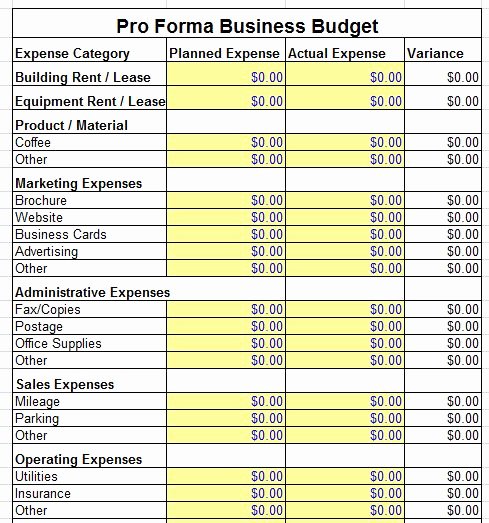 Pro forma Balance Sheet Template Unique Proforma Balance Sheet Template