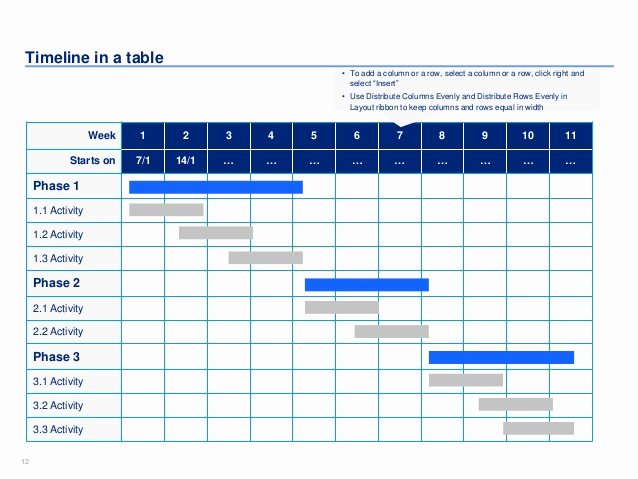 Project Plan Powerpoint Template Elegant Download Project Timeline Template Excel