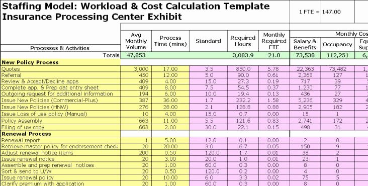 Project Staffing Plan Template Excel Fresh Fte Exhibits