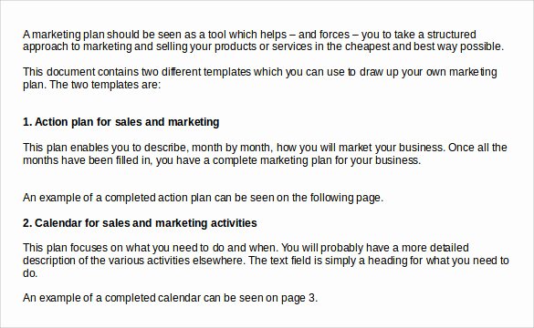 Sales Action Plan Template Luxury Sample Sales Action Plan 12 Example format