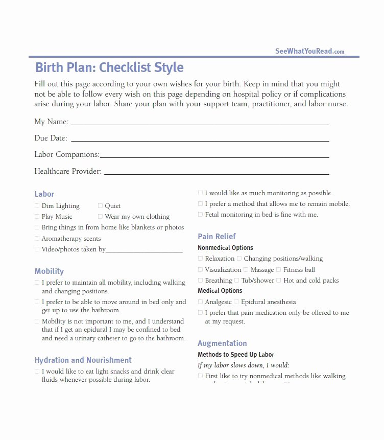 Sample Birth Plan Template Awesome 47 Printable Birth Plan Templates [birth Plan Checklist