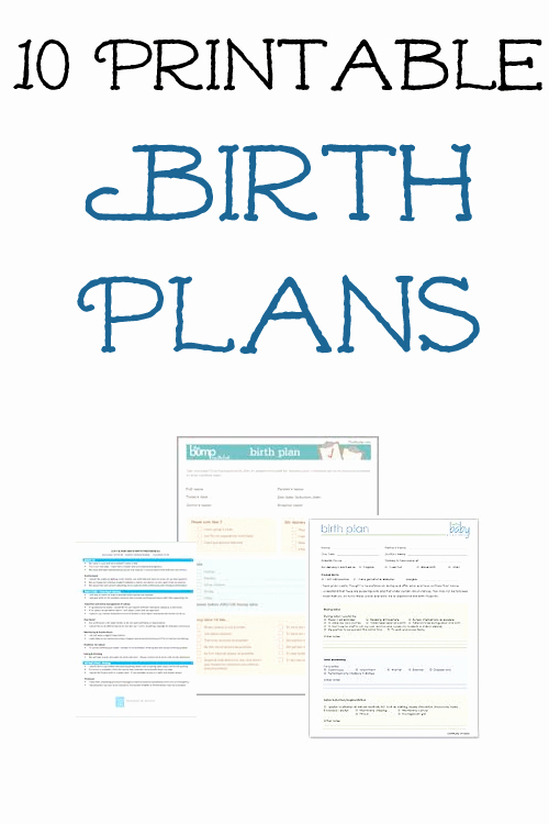 Sample Birth Plan Template Best Of 10 Free Printable Pregnancy Birth Plans &amp; Hospital Bag