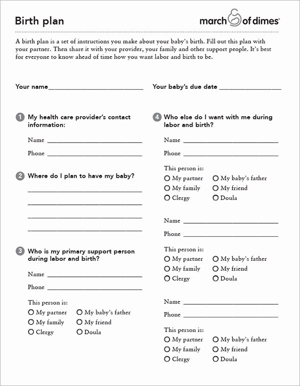 Sample Birth Plan Template Elegant Free 23 Sample Birth Plan Templates In Pdf Word