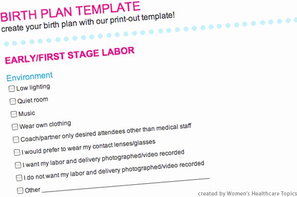 Sample Birth Plan Template Elegant Prenatal Courses and Birth Plan