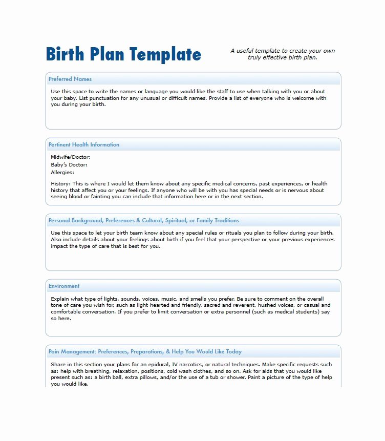 √ 30 Sample Birth Plan Template | Effect Template